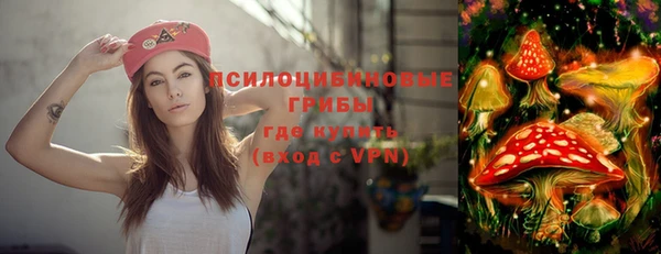 амф Богданович