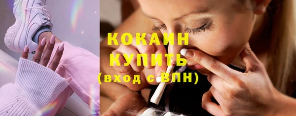 дживик Богородск