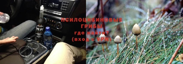 винт Вяземский
