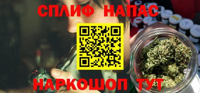 spice Гай