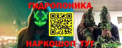 spice Гай