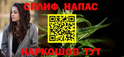 spice Гай