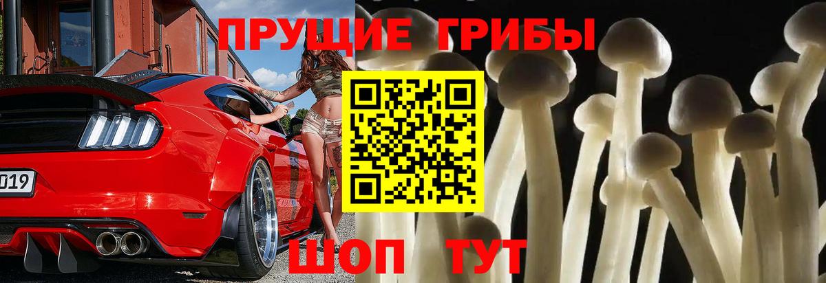 Псилоцибиновые грибы Cubensis  Вход с VPN  Гулькевичи 